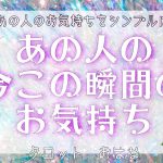 【おはな🌸の恋愛タロット3択🌈】あの人の今この瞬間の気持ちをシンプルに鑑定🔮💞お相手様の強めな本音が伝わりました👀💓💫