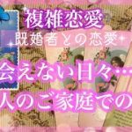 【複雑恋愛】ご家庭での様子❣️なかなか会えないあの人のお気持ち🦋【不倫etc…】++タロット占い&オラクルカードリーディング++