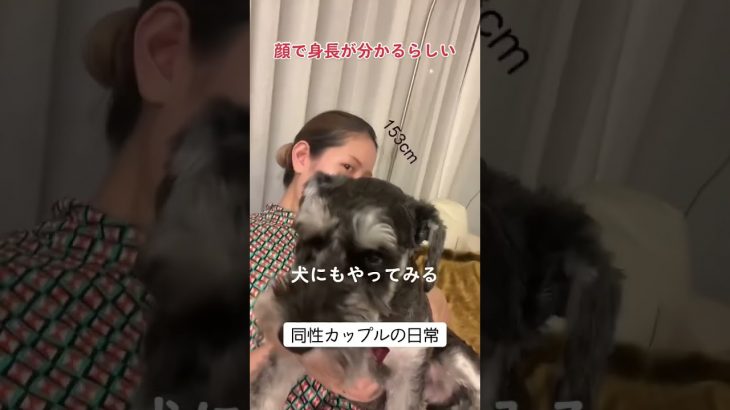 【同性カップル】顔で身長が分かるらしいので犬にもやってみたら…#shorts