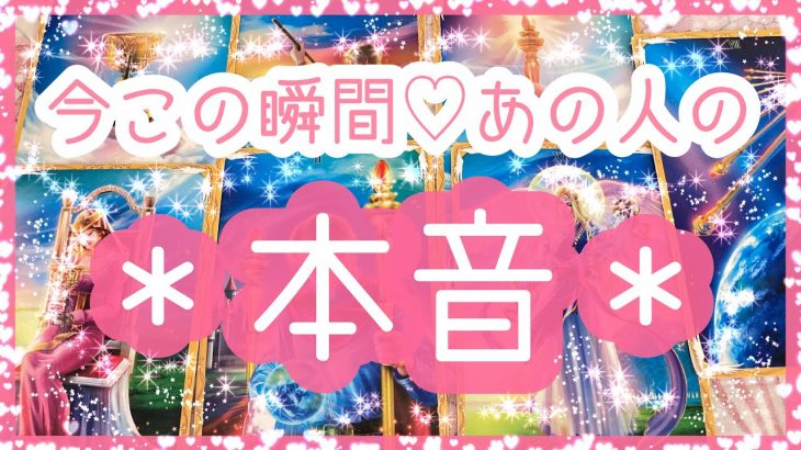 【恋愛】今この瞬間のあの人の本音✨全人類対象リーディング💫アルケミアタロットで占います🧸