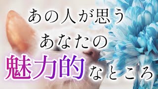 あなたへの気持ちも深掘り🐈‍⬛カードリーディング✨タロット恋愛占い💟ルノルマンオラクルでも個人鑑定級占い