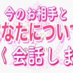 【恋愛❤️驚愕】あなたについてお相手と詳しく会話しました😳[対話鑑定級タロット🧚]