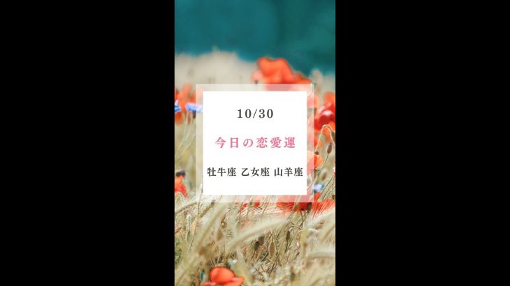 【10月30日の恋愛運】#牡牛座 #乙女座 #山羊座 #shorts