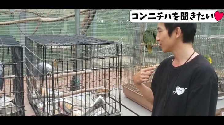 【日韓カップル】富士花鳥園デート#2