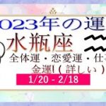 水瓶座（みずがめ座）2023年の運勢｜全体運・恋愛運・仕事運・金運! ( 詳しい ).