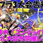 スプラ3　スプラトゥーン3　エンジョイ勢大歓迎！カップル大会告知！