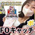 今売ってないポケカのBOXが欲しすぎてUFOキャッチャーやりまくるカップル