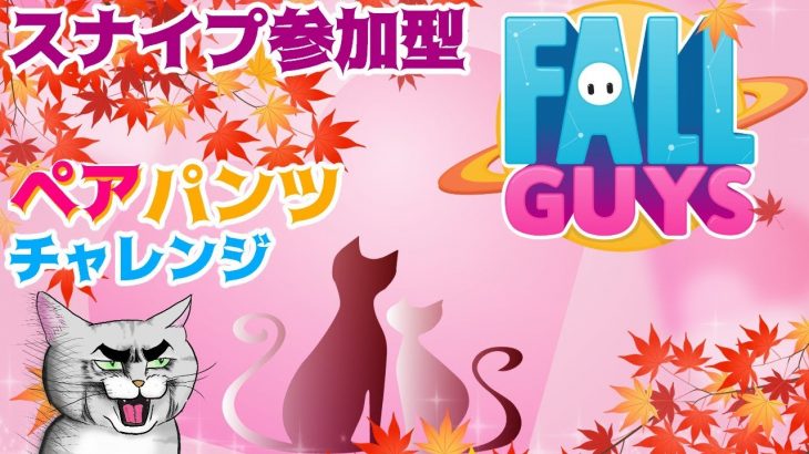 【Fall Guys/フォールガイズ】下半身の色を合わせてナイスカップルを目指せ💖