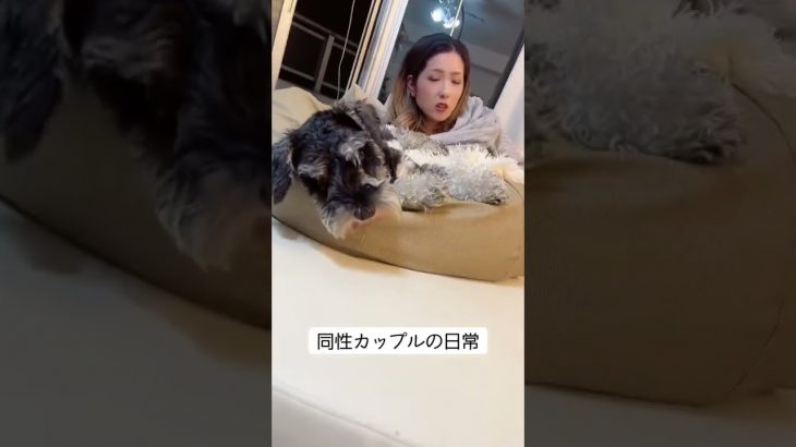 【同性カップル】お風呂出たらこんな状況でした…😂#shorts