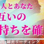 恋愛タロット占い💓【恋愛】あの人と貴方のお互いの気持ちを確認🌟貴方は愛されてます🌟あなたの選択がどんな未来を引き寄せるのか💕当たる!!