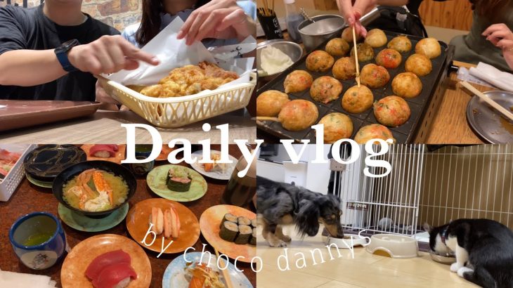 【VLOG】少し贅沢をする週の過ごし方#vlog#カップルチャンネル #同棲カップル #ダックス #子猫#寿司 #外食 #秋刀魚 #手料理 #チャンネル登録お願いします #20代 #いぬ #日常生活