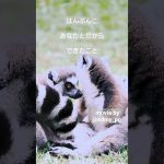 共に生きる。。#shorts #リラックスbgm #動物 #animals #生き方 #仲間#夫婦 #恋愛 #ピアノ #piano