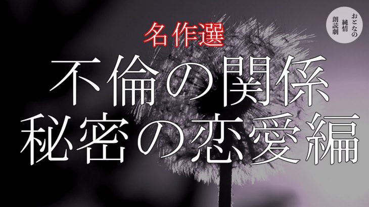 【作業用・睡眠用】大人の恋愛物語 秘密の恋愛編