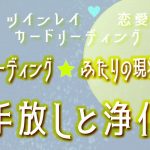 ツインレイ💖恋愛💖カードリーディング【満月リーディング🌕ふたりの現状と想い】～手放しと浄化～