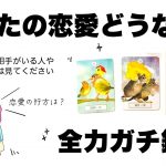 【タロット占い】これからあなたの恋愛がどうなっていくのか全力ガチ鑑定🦄✨✨気になる相手がいる方やフリーの方はぜひ見てください🍀✨✨【当たる３択占い】