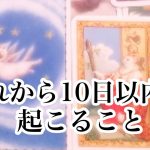 これから10日以内におこること【恋愛💖タロット】