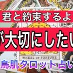 【本気（ガチ）惚れ100%💓】そりゃ惚ちゃいますわ❤️👊【恋愛占い💗】お相手どんな人ですか？💛彼の魅力と長所からあの人が大切にしたい事を徹底解明💖彼の気持ちを居酒屋男子トーク風メッセージ❤️