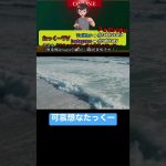 カップルと海へ【たっくーTV】