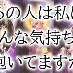 辛口パートあり⚠️リアルな相手の気持ちを深掘りカードリーディング🌙片思い複雑恋愛占い個人鑑定級