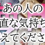 リアルなリーディング忖度なし✋タロット恋愛占い🪞片思い複雑恋愛✨オラクルルノルマンで個人鑑定級占い