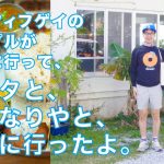 【ゲイのカップルの読谷ドライブ】南インド料理のお店でランチして、パン屋さんをはしごしました。