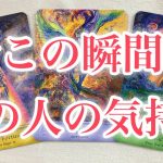 【恋愛】今この瞬間のあの人の気持ち🦋💕【忖度なしタロットオラクルルノルマンリーディング】🍀🐢