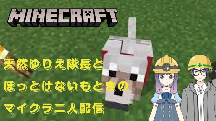 カップル配信【マインクラフト】もとき視点、まったりゆりえクラフト【Minecraft】