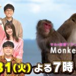 新企画！サルの恋愛リアリティショー｢Monkey Love｣ 恋の行方は!?『ZOO-1グランプリ』1/31(火)【TBS】