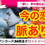 片思い、年の差恋愛、関係浅めの方おすすめ★今の恋は、脈あり？ルノルマンカード３６枚＆同時にタロットリーディング★マジックオブザフラワーズカードも★　年の差恋愛、片思いタロット、関係浅め、複雑恋愛★