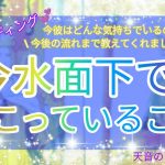 【恋愛リーディング💞今彼はどんな気持ちでいるの⁉️今後の流れまで教えてくれました✨】今水面下で起こっていること🌈🌈🌈タロット占い✨