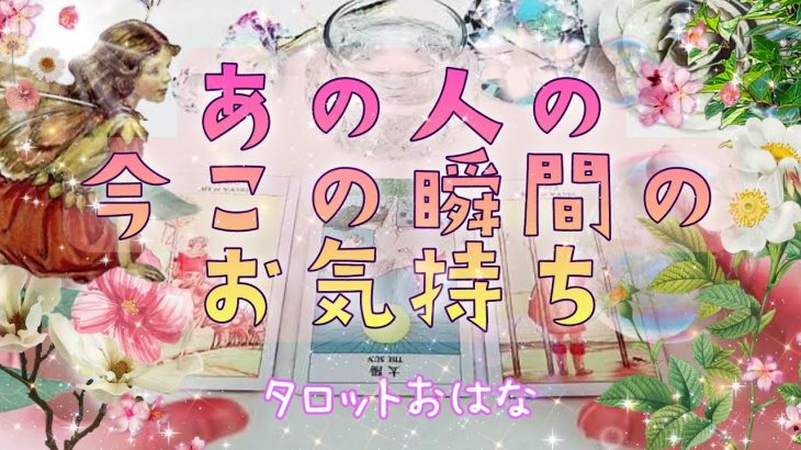 【おはな🌸の恋愛タロット三択🌈】今この瞬間のお相手の気持ち🔮あの人の気持ちを大暴露🦋✨