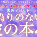 【霊感タロット】【霊視】【タロット】偽りのない彼の本音【恋愛】【不倫】【複雑恋愛】【婚外恋愛】【三角関係】【ルーン】