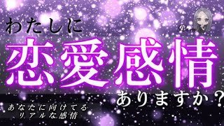 【ハッキリ出しました】あの人はあなたにこんな感情を抱いてるようです。タロット/オラクル/ルノルマン/タロット占い/恋愛占い 😈🖤