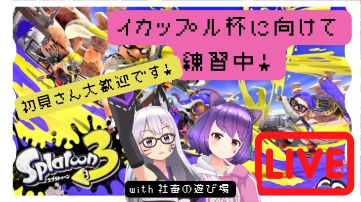 【スプラトゥーン3／配信】イカップル杯練習します！！！