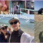 【Vlog】カップルで沖縄旅行🏝🌺PART2❕2月に海入っちゃいました🐬🫧