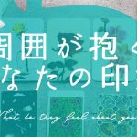 【忖度なし本格鑑定🔮】周囲が抱くあなたの印象｜パブリック・プライベート・恋愛対象｜タロット占い｜中辛🍛