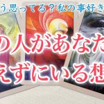 【恋愛❤️】どう思ってる？私の事好き？✴︎あの人があなたに言えずにいる想い🦋🌼【タロットオラクルルノルマンリーディング】