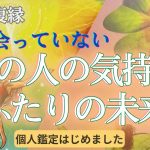 【恋愛　復縁タロット】（忖度なし／アゲ鑑定なし）少し会えていないあの人の気持ち💑二人の未来はどうなりますか？復縁・復活愛・相手の気持ち・複雑恋愛・不倫【個人鑑定については概要欄より】