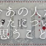 今あの人があなたについて思うこと【タロット・オラクル・恋愛・占い】