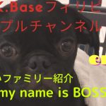 【A.K.Baseフィリピンカップルチャンネル】今回は新しいファミリーパグ犬のBOSSの紹介です✋めちゃくちゃ可愛い🐶