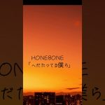 【へだたってる僕ら】#遠距離恋愛 ＃遠恋 #会えない辛さ #コロナ禍の辛さ #honebone #うたってみた