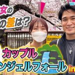 【人気企画】花見デートのカップルの偏差値を見抜け！学歴エンジェルフォール！in目黒川【wakatte TV】#868