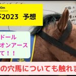 【大阪杯予想】隊列予想からカップルでガチ競馬予想。ダービー卿的中、流れに乗って行こう！！　ジャックドール　スターズオンアース