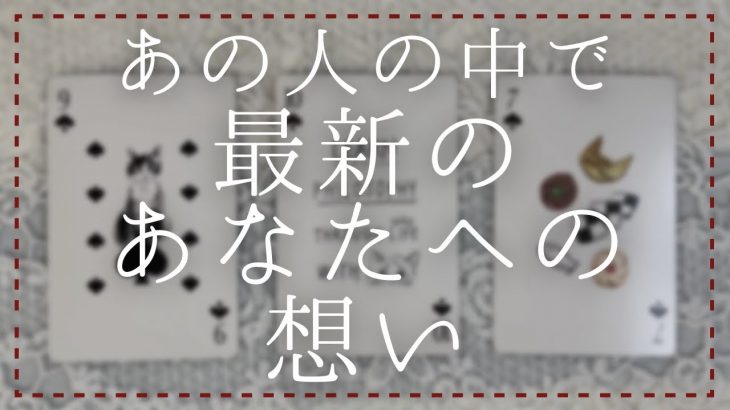 あの人の中で最新のあなたへの想い【タロット・オラクル・恋愛・占い】