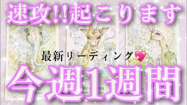 [💖最新版✨]今週あなたに起きる事🌟仕事、恋愛、人間関係、徹底分析💖ビーナスハート💓タロット🌟オラクルカード リーディング☺️