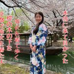 (国際カップル )中国人妻、京都伏見で浴衣を着て桜の木下を歩く。花見@yanoke0826