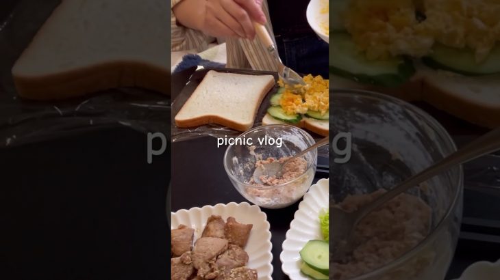 picnic vlog #vlog #日常 #カップル #デート #ピクニック#サンドイッチ#サンドイッチ作り# #お弁当 #shorts