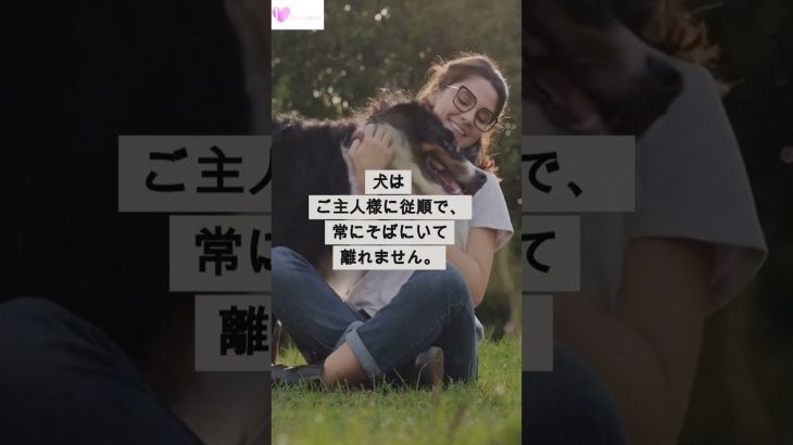 猫女犬男 #shorts #1分でわかる恋愛科学