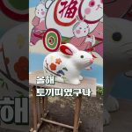 【한일커플/日韓カップル】에노시마의 사람 얼굴만한 통구이문어센베/江の島の丸焼きたこせんべい