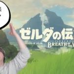 ゼルダの伝説 ティアーズオブキングダムプレイしながら恋愛相談乗ります